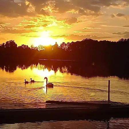 Rose & Lavendel * Zuhlsdorf