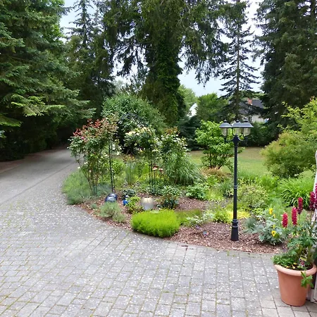 Rose & Lavendel * Zuhlsdorf