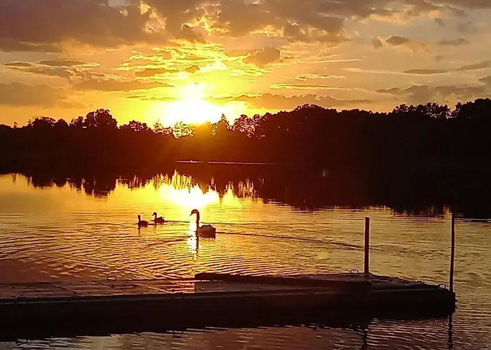 Rose & Lavendel * Zuhlsdorf