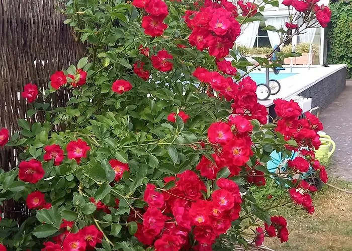 Rose & Lavendel Сasa de vacaciones